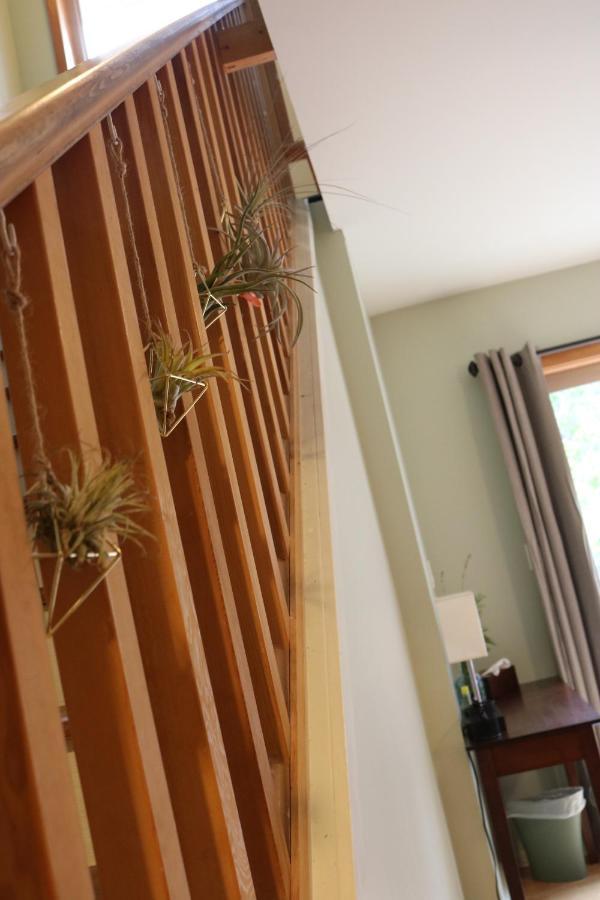 Five Elements Lodge B&B With Outdoor Spa Fernwood Exterior photo